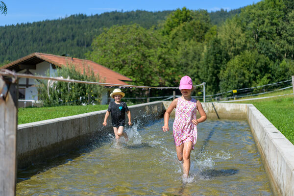 Erlebnisspielplatz auf dem Berghof Kopp